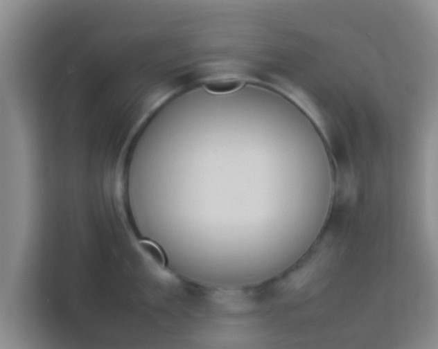 X0000113930909200910091559