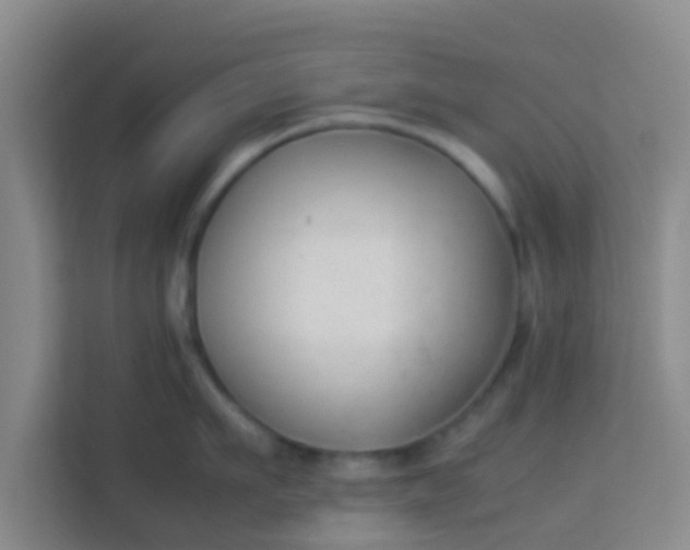 X0000113930911200910091559