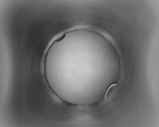 X0000113930912200910091559