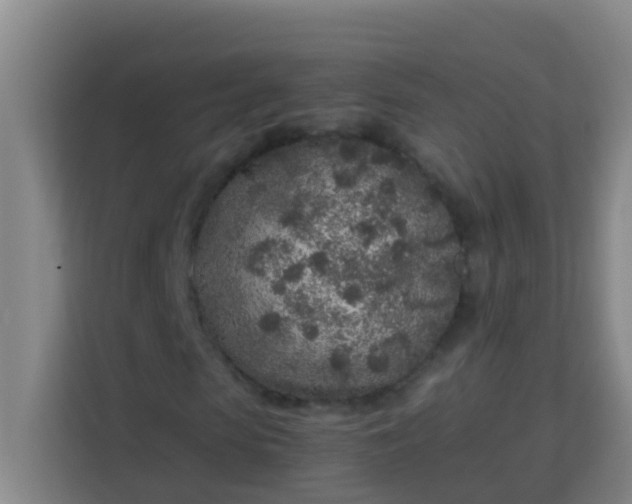 X0000113930913200910091558