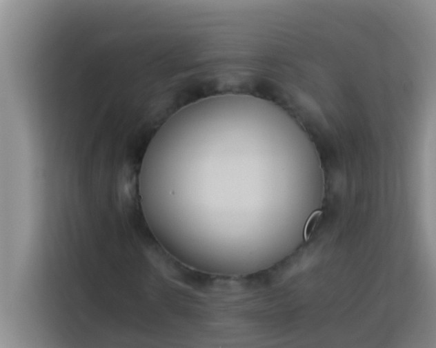 X0000113930914200910091558