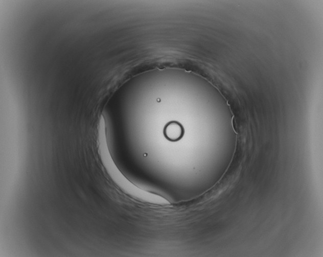 X0000113930916200910091558