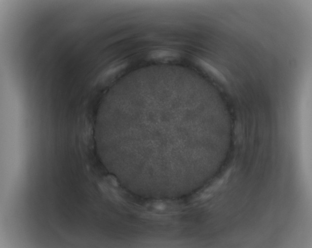 X0000113930917200910091558