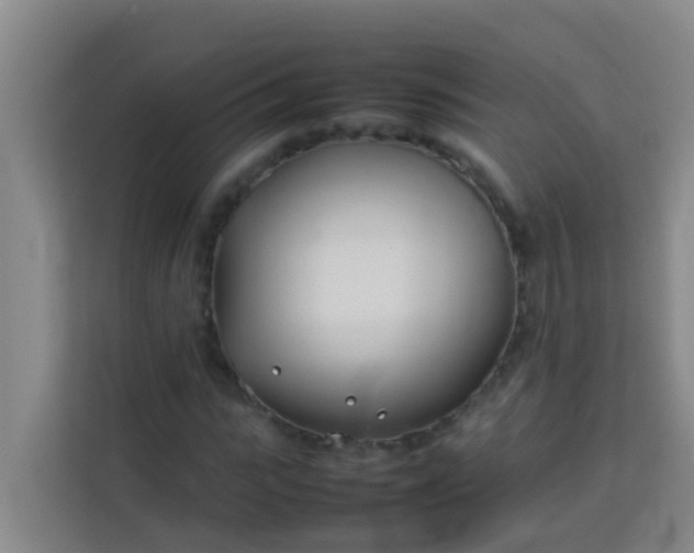 X0000113930919200910091558