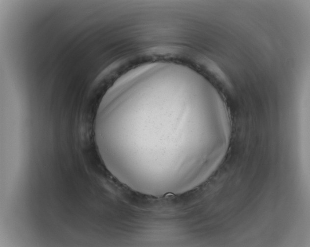 X0000113930920200910091559