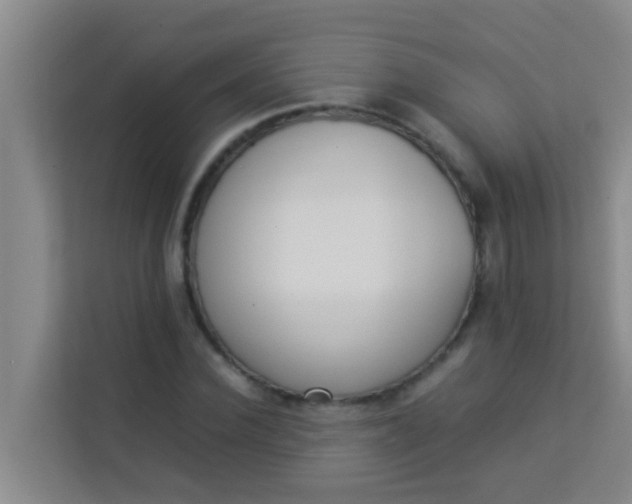 X0000113930924200910091559