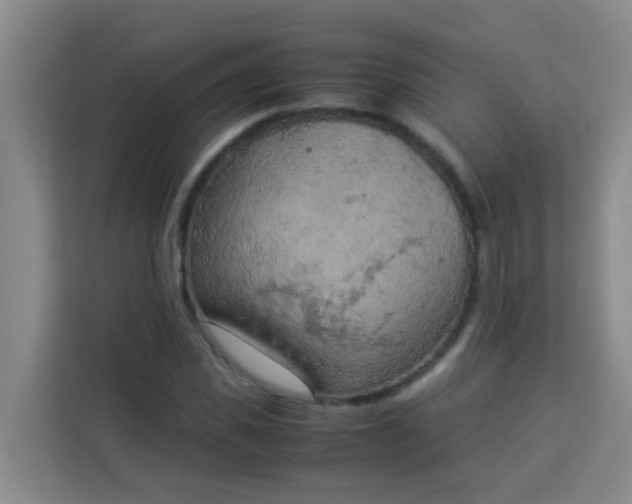 X0000113930925200910091559