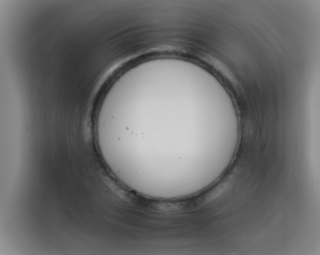 X0000113930927200910091559