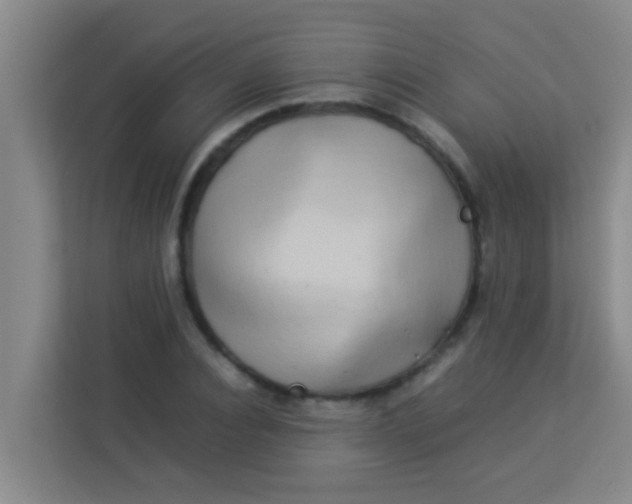 X0000113930928200910091559