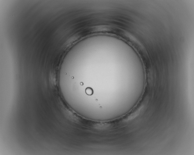 X0000113930929200910091559