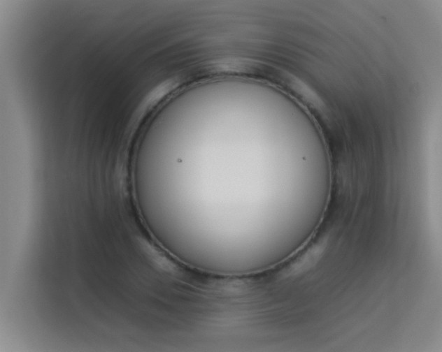 X0000113930930200910091559