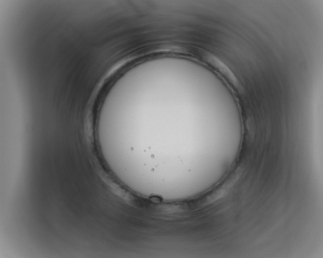 X0000113930931200910091559