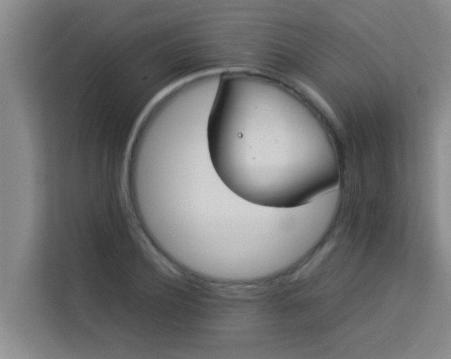 X0000113930932200910091559