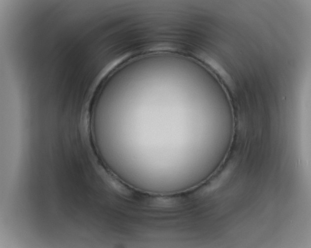 X0000113930933200910091559