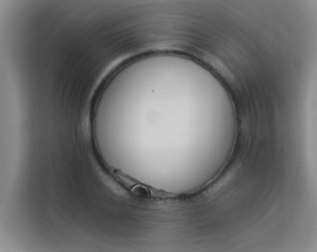 X0000113930934200910091559