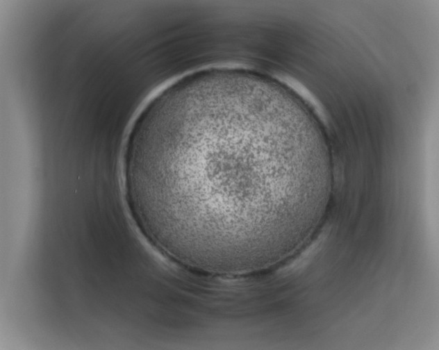 X0000113930935200910091559