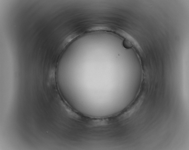 X0000113930937200910091559