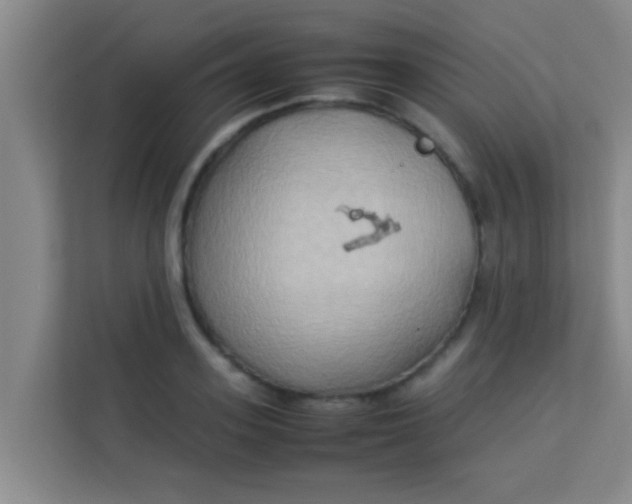 X0000113930939200910091559