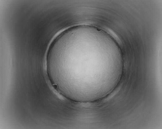 X0000113930940200910091559