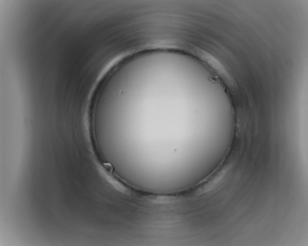 X0000113930942200910091559