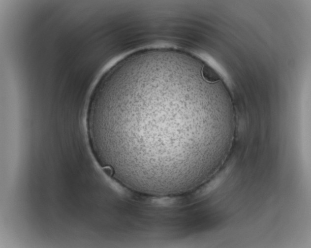 X0000113930943200910091559