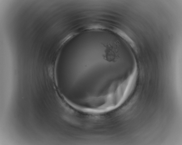 X0000113930945200910091559