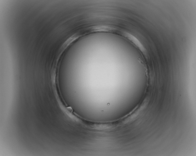 X0000113930946200910091559