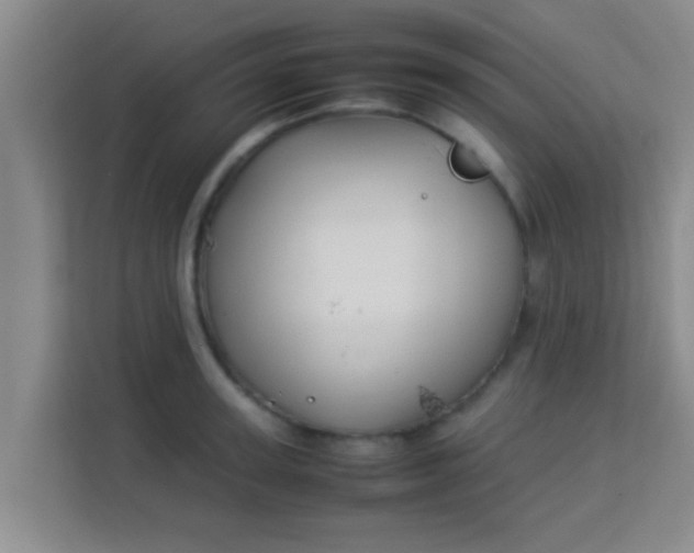 X0000113930947200910091559