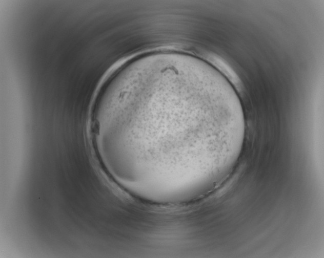 X0000113930948200910091559