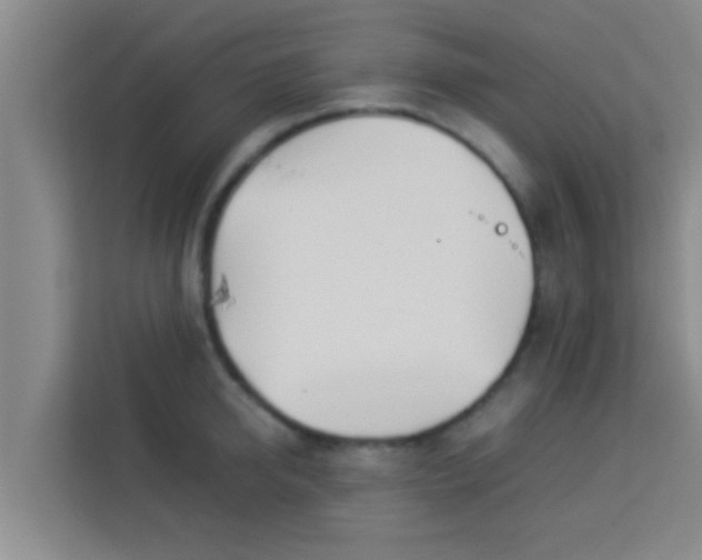 X0000113930950200910091559