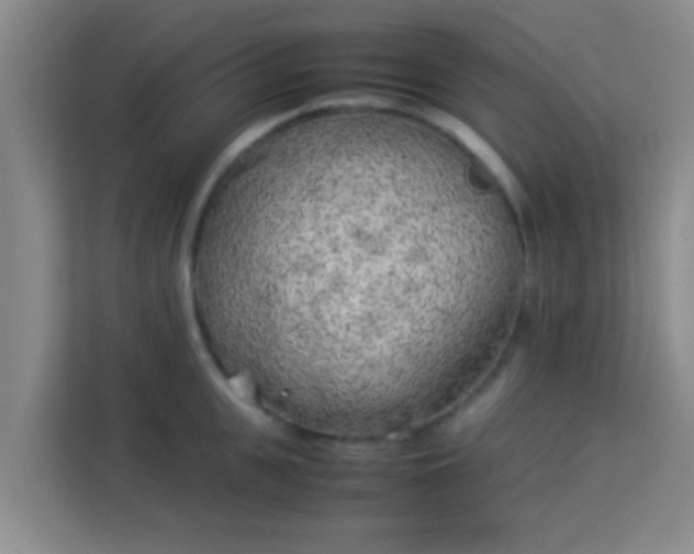 X0000113930951200910091559