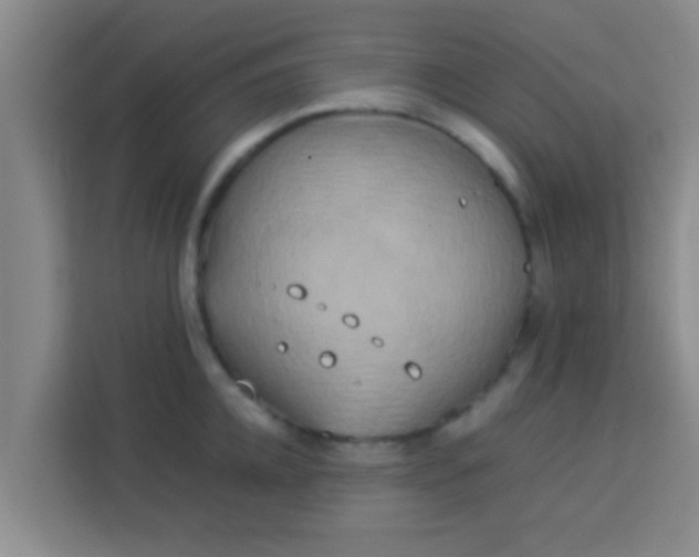 X0000113930952200910091559