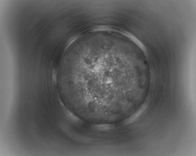 X0000113930953200910091559