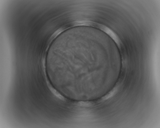 X0000113930954200910091559