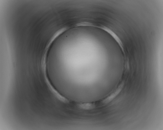 X0000113930957200910091559