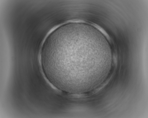 X0000113930959200910091559