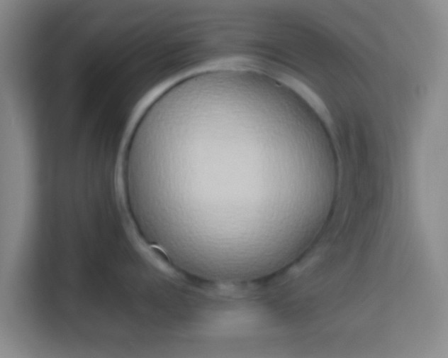 X0000113930960200910091559