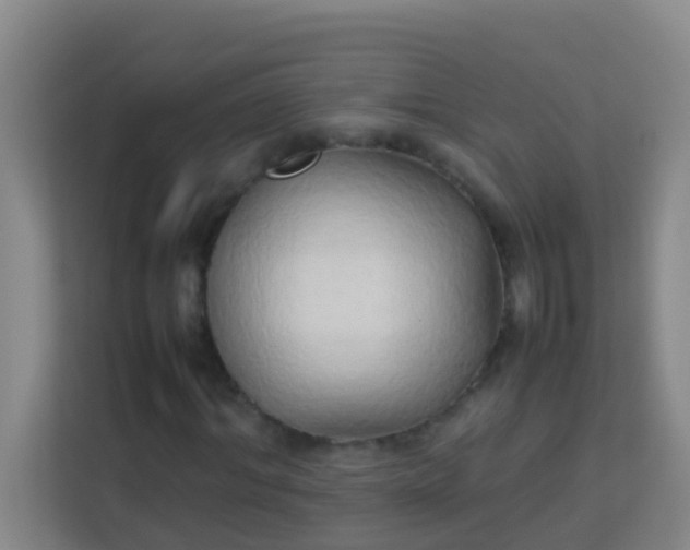 X0000113930964200910091558