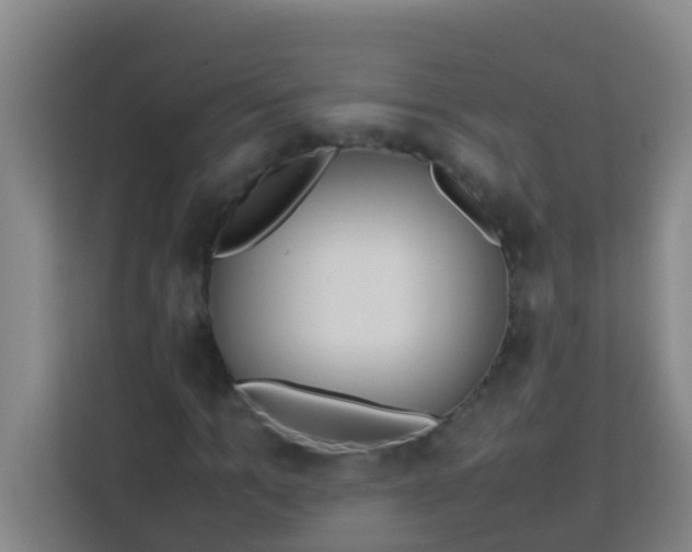 X0000113930965200910091558