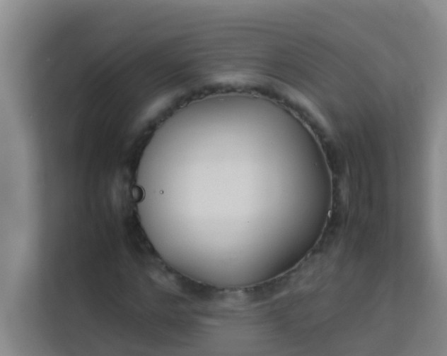 X0000113930968200910091558