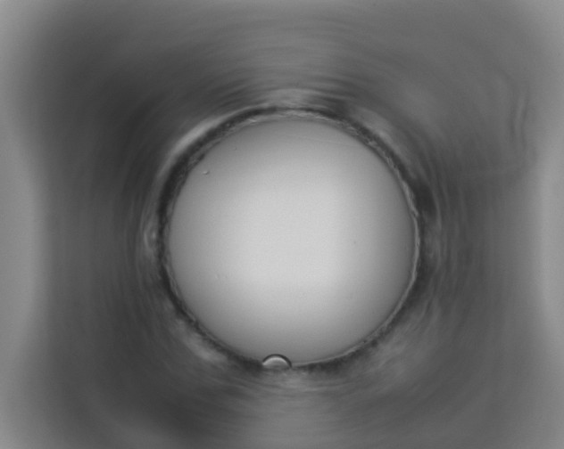 X0000113930971200910091558