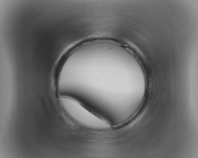 X0000113930973200910091558