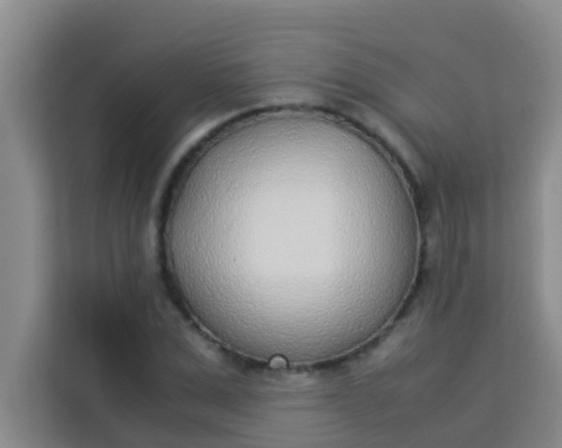 X0000113930975200910091558