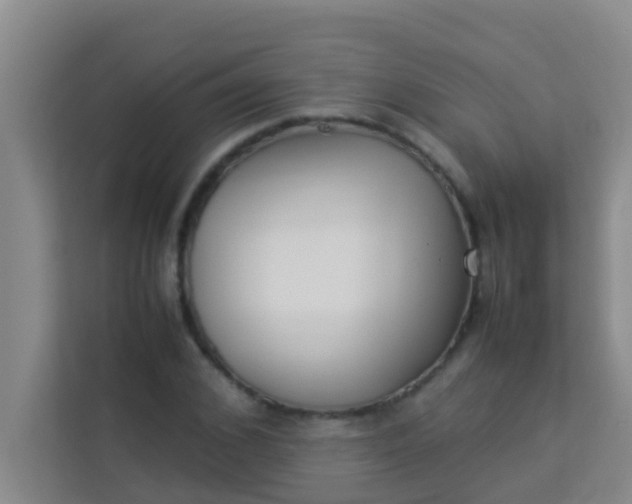 X0000113930976200910091558