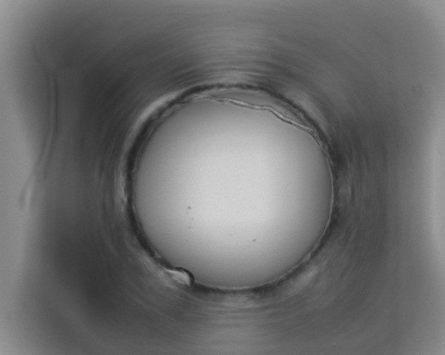 X0000113930979200910091558