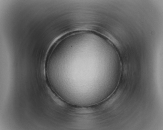 X0000113930980200910091558