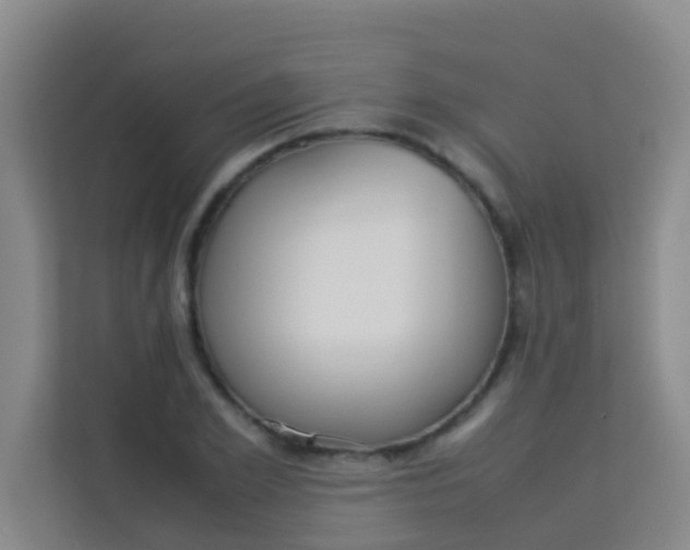 X0000113930981200910091558