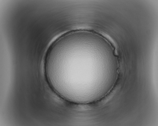 X0000113930983200910091558