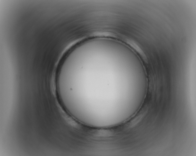 X0000113930984200910091558