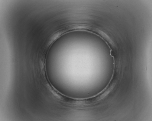 X0000113930985200910091558